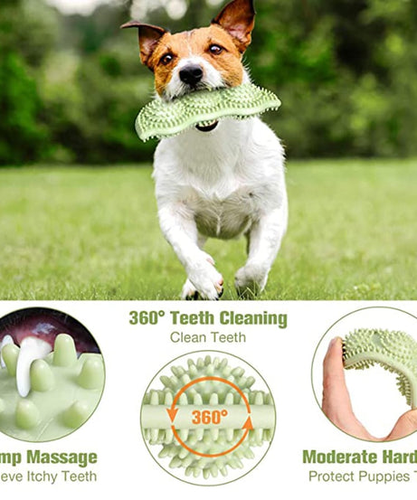 Bite-Resistant Dog Toy Ball for Interactive Chewing