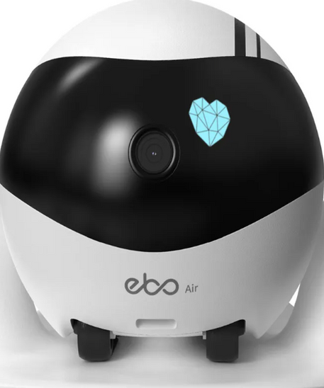 Robot Compagnon Domestique Intelligent EBO – Télécommande et Caméra pour Animaux