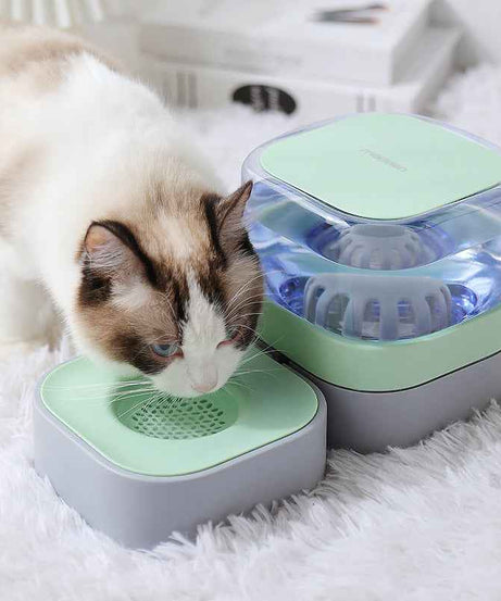 Removable And Washable Pet Food Utensils