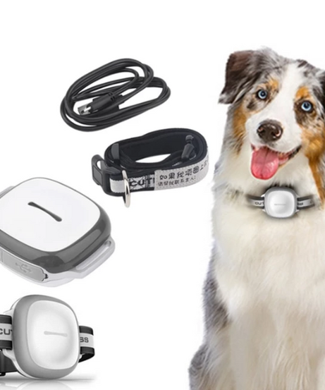 Pet Locator Device