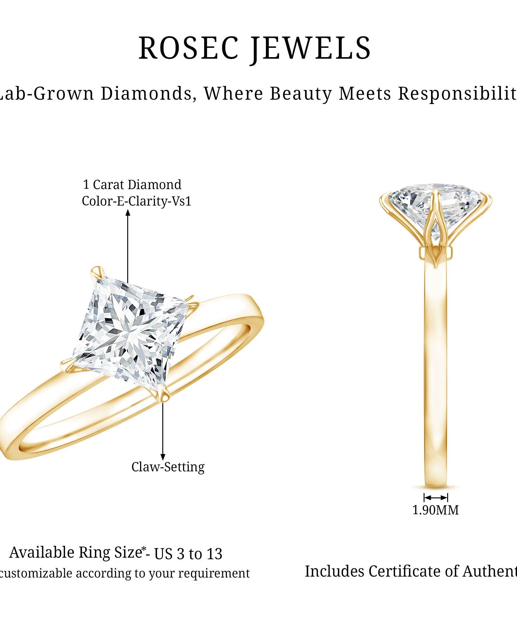 1 Carat Lab Created Diamond Princess Cut Engagement Ring IGI Certified