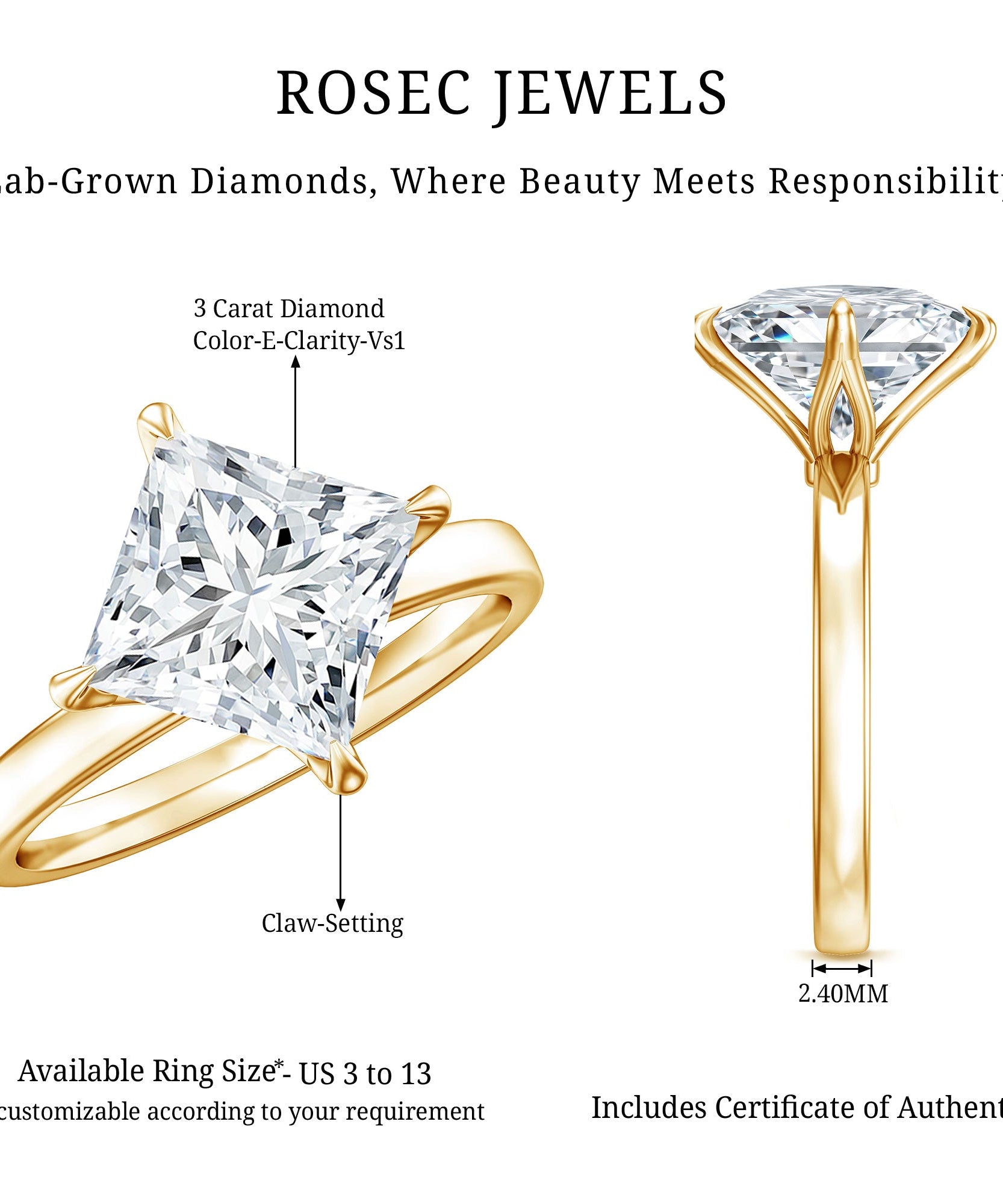 IGI Certified Lab Grown Diamond 3 Carat Princess Cut Engagement Ring