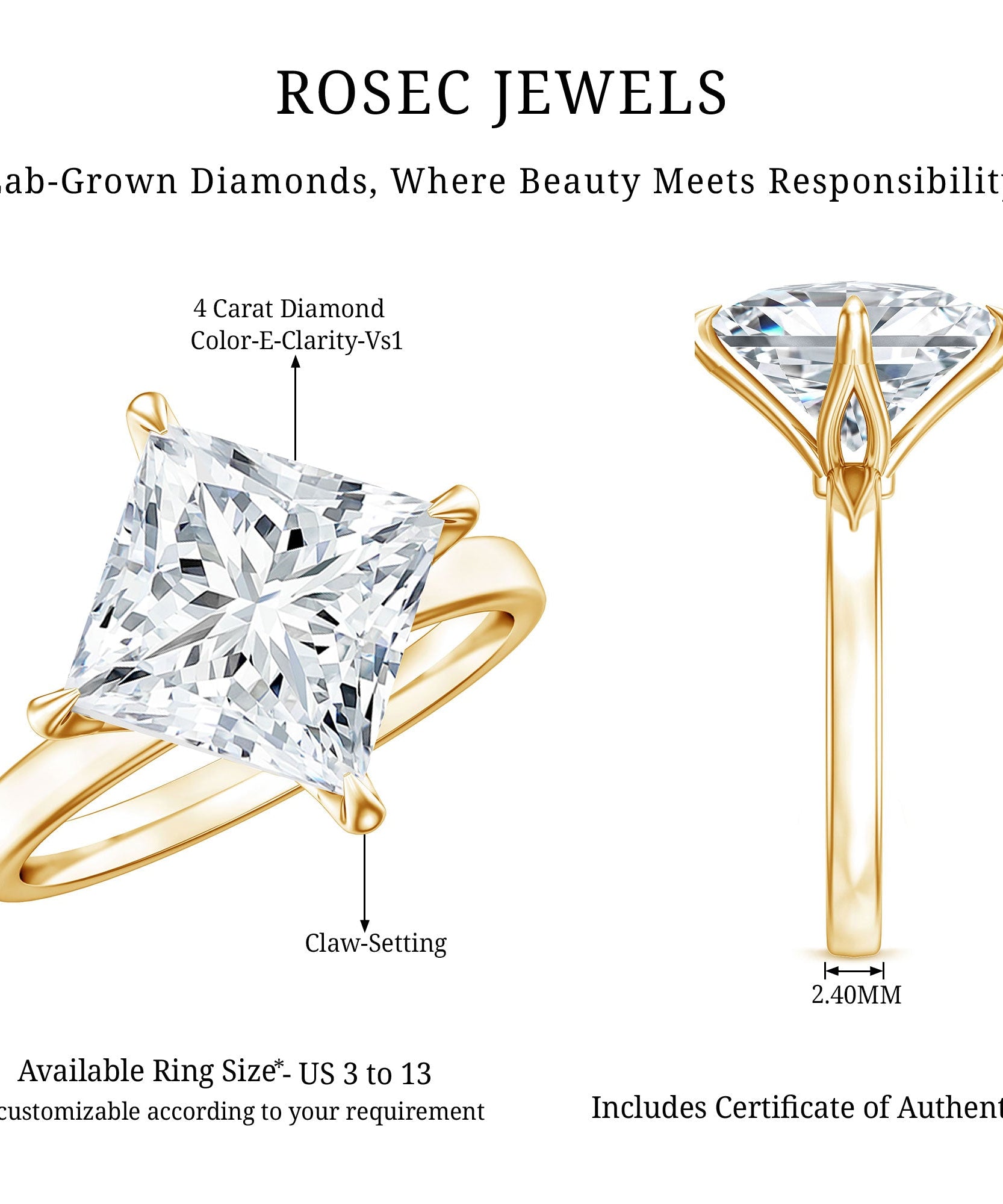 IGI Certified 4 Carat Princess Cut Lab Grown Diamond Engagement Ring