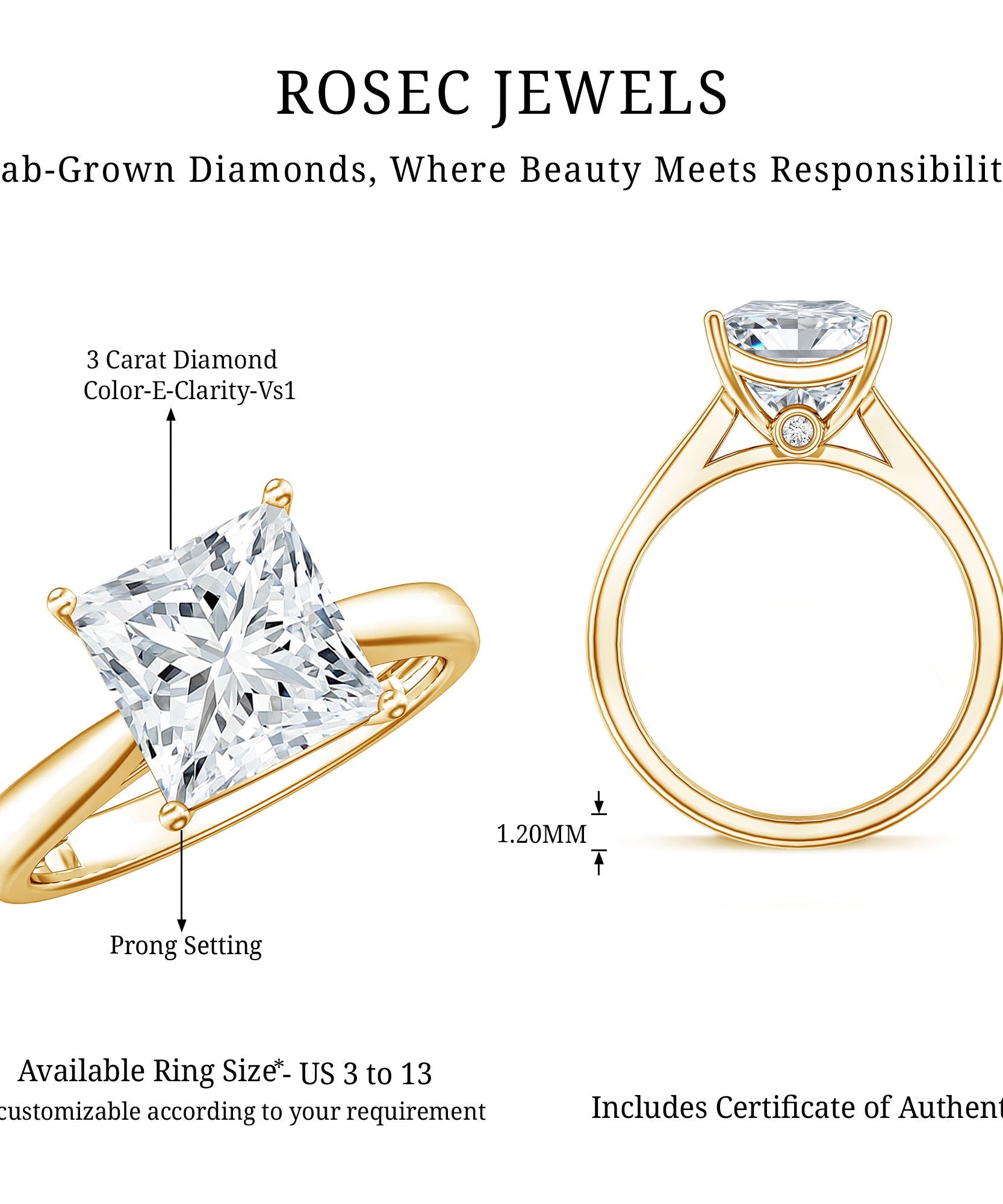 IGI Certified Lab Grown 3 Carat Diamond Princess Cut Engagement Ring Solitaire