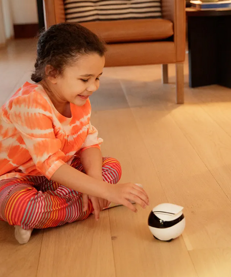 Robot Compagnon Domestique Intelligent EBO – Télécommande et Caméra pour Animaux