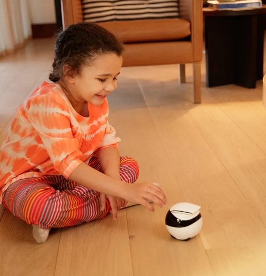 Robot Compagnon Domestique Intelligent EBO – Télécommande et Caméra pour Animaux