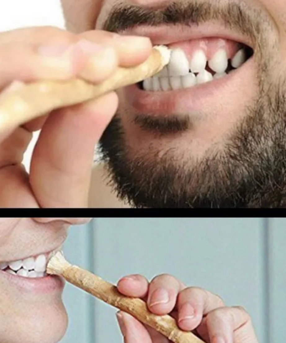 Miswak Tooth Cleaning Stick