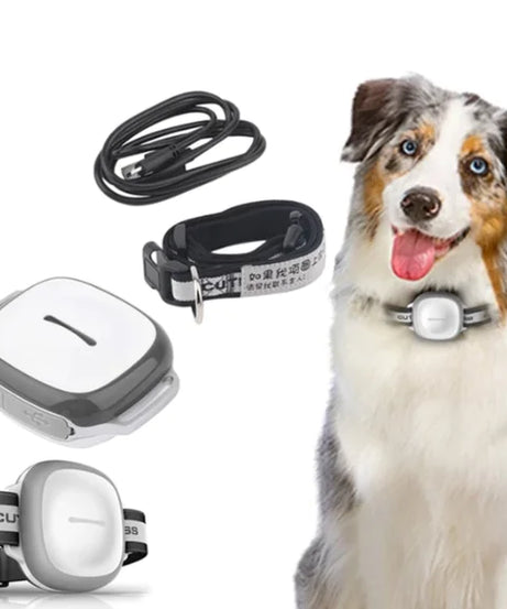 Pet Locator Device