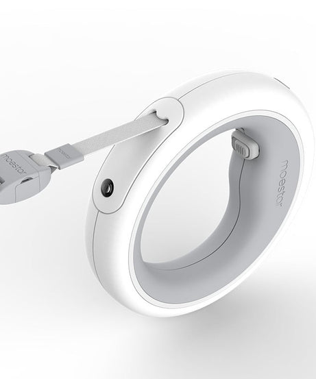 Luminous Retractable Dog Walking Rope by Meng Wangxing