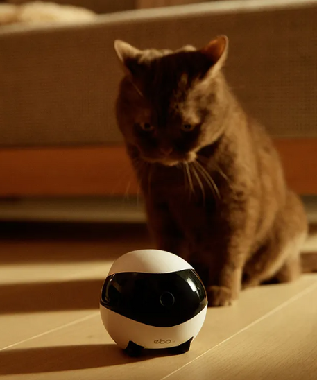 Robot Compagnon Domestique Intelligent EBO – Télécommande et Caméra pour Animaux