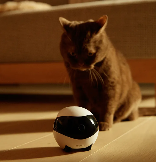 Robot Compagnon Domestique Intelligent EBO – Télécommande et Caméra pour Animaux