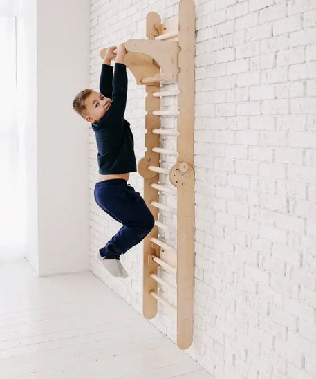 Gym Addition to the Climbing Ladders