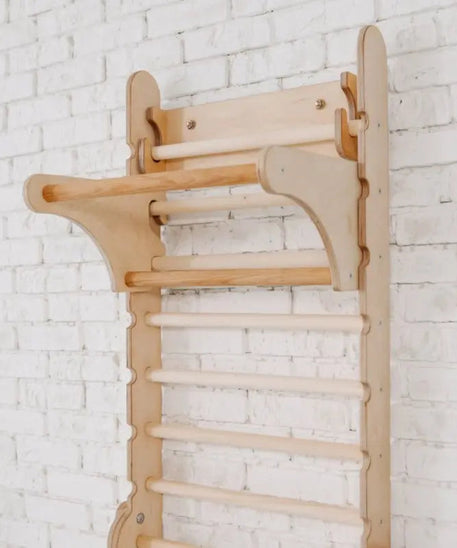 Gym Addition to the Climbing Ladders